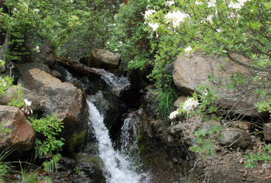 Cataract on Caribou Road