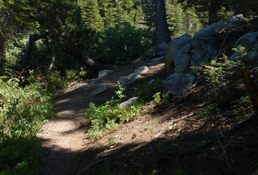 Heading uphill towards away from the meadow Trail to Clarcier Lake