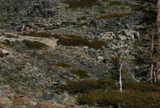 Steep Climb Trail up the hillside to Glacier Lake, see the people?