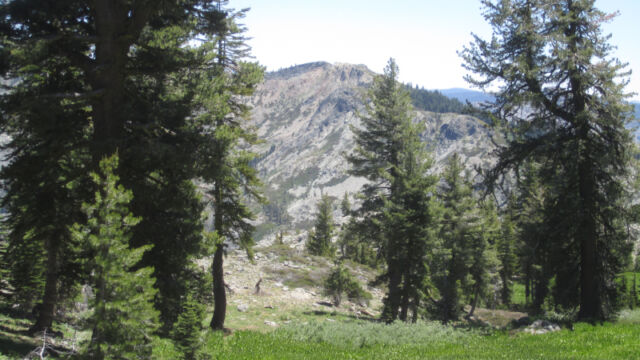 Start of the trail Down the hillside from Grouse Ridge