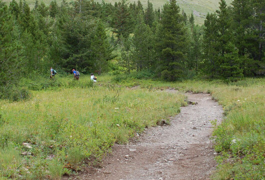 Start of Ptarmigan Trail