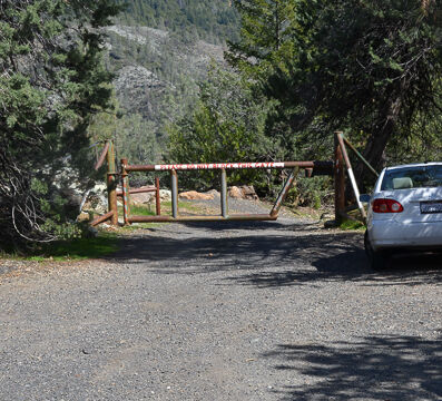 Trailhead Paradise Serpentine Barrens trail