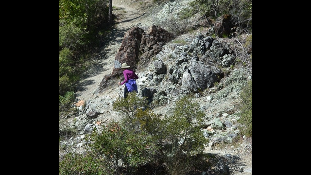 Trail across the Serpentine hillside