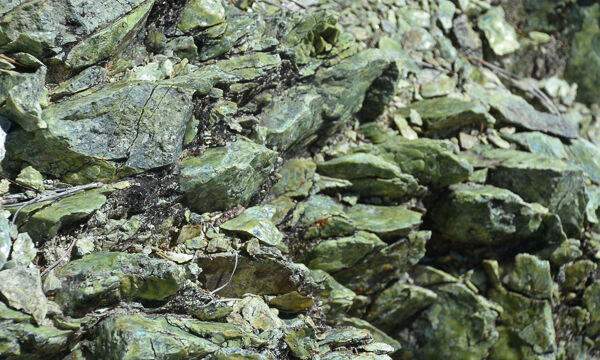 Serpentine rocks