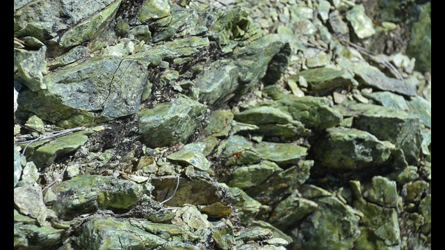 Serpentine rocks