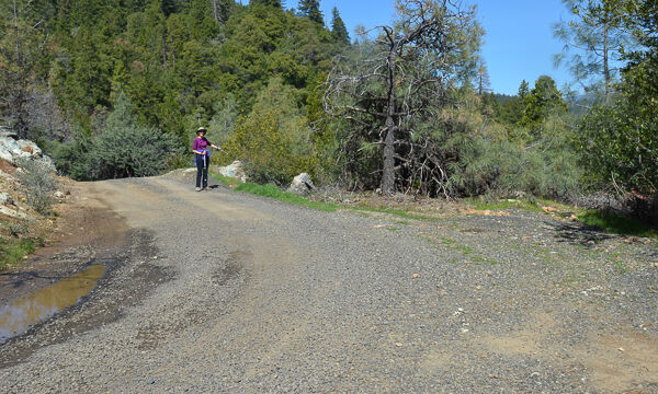 Start of Trail Paradise Serpentine Barrens trail