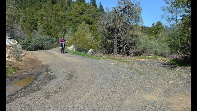 Start of Trail Paradise Serpentine Barrens trail