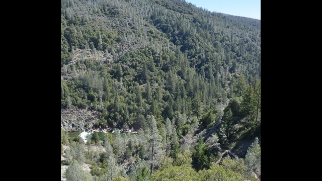 Feather River in distance Feather River