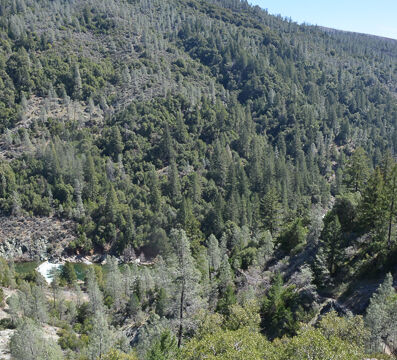 Feather River in distance Feather River