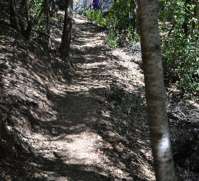 Shaded part of trail