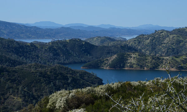Lake Berryessa from Blue Ridge Loop Trail
