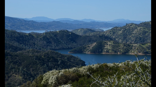 Lake Berryessa from Blue Ridge Loop Trail