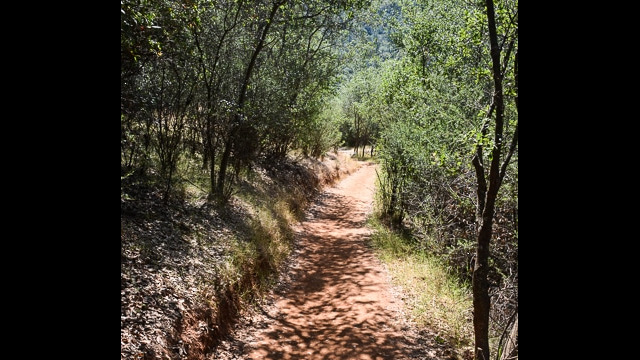 Trail away from railroad bed