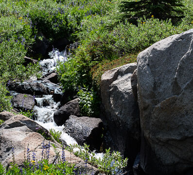 Woods Lake to Winnemucca
