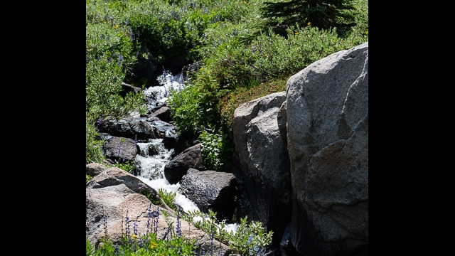 Woods Lake to Winnemucca