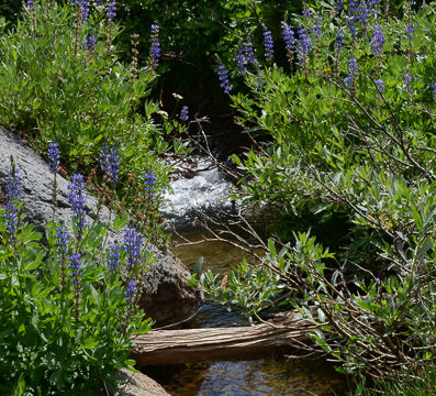 Round Top Lake trail down to Woods Lake