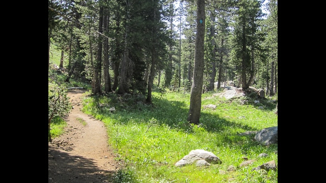 Woods Lake to WInnemucca Lake, starts in the trees