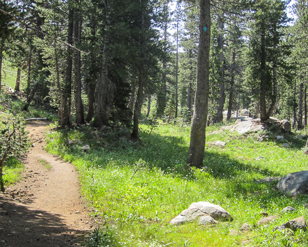 Woods Lake to WInnemucca Lake, starts in the trees