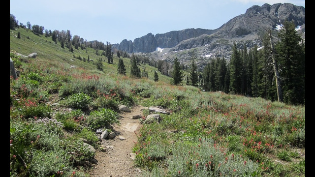 Woods Lake to Winnemucca Lake, hillside trail