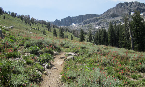 Woods Lake to Winnemucca Lake, hillside trail
