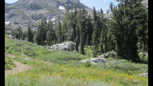 Woods Lake to Winnemucca Lake