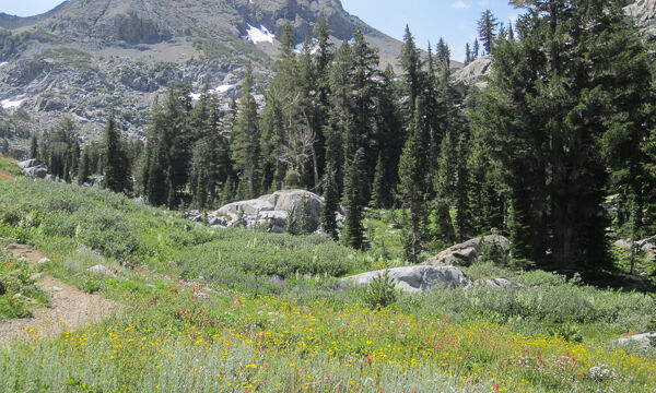 Woods Lake to Winnemucca Lake