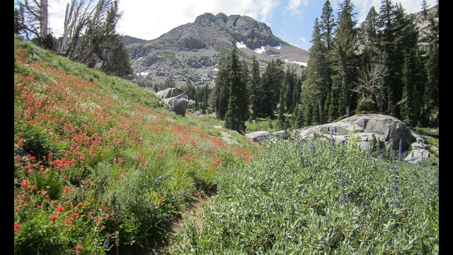 Woods Lake to Winnemucca Lake