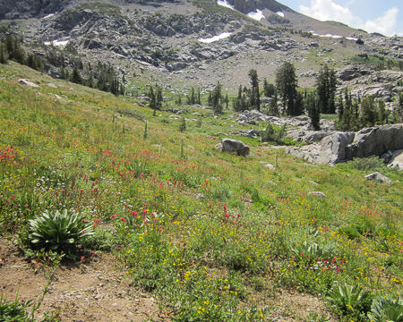 Woods Lake to Winnemucca Lake, climbing along the stream on the higher end