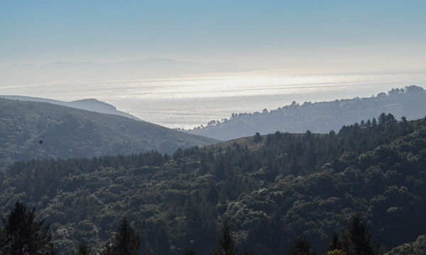 Ocean View from Dipsea Trail near Muir Woods