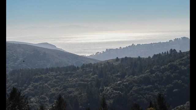 Ocean View from Dipsea Trail near Muir Woods