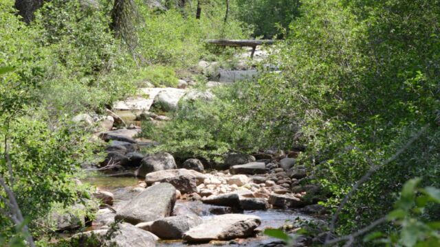 Lyons Creek
