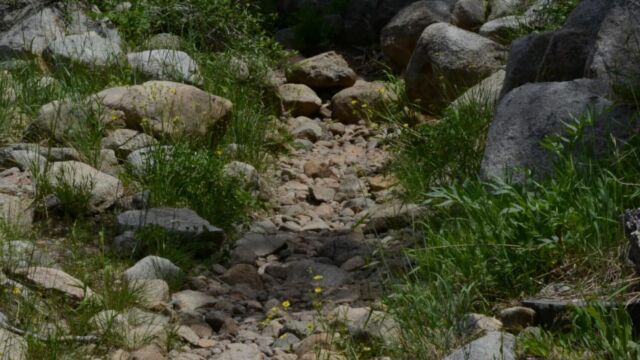 Lyons Creek
