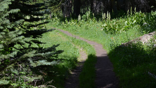 Start of the trail Lyons Creek