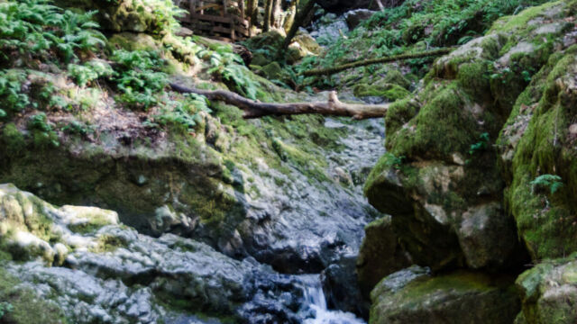 Water tumbling down the cataract Cataract trail, Mt Tamalpais