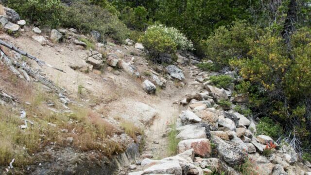 Caples Creek trail past the first meadow, climbing the ridge