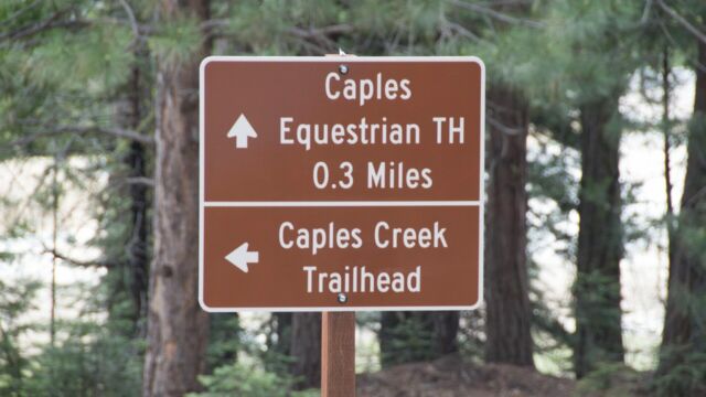 Caples Creek trailhead sign before Fitch Rantz Bridge