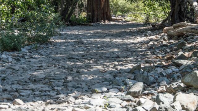 Beginning of the trail, a road with rough rocks, hard to walk on Grass Lake trail