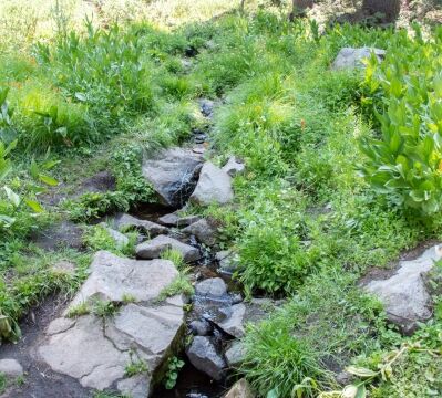 First hillside garden, a small stream Barker Pass 4