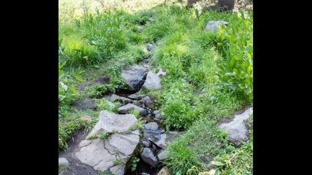 First hillside garden, a small stream Barker Pass 4