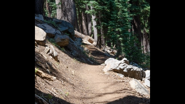 The trail changes from forest to open spaces often Barker Pass 2