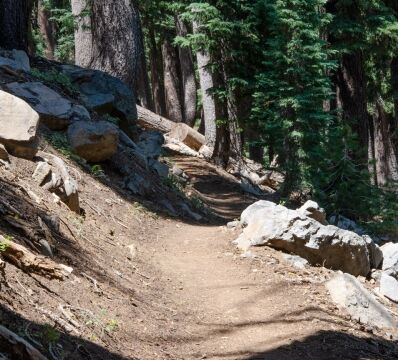 The trail changes from forest to open spaces often Barker Pass 2