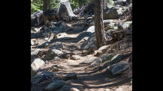 Start of the trail, up the hill from the highway/trailhead Big Meadow trail