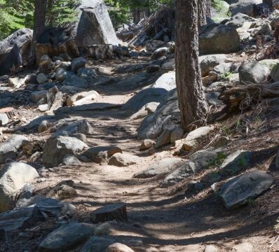 Start of the trail, up the hill from the highway/trailhead Big Meadow trail