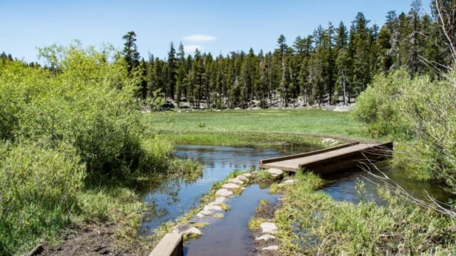 Crossing the stream at the start of the meadow. Fortunately the stream was low enough to cross easily Big Meadow trail