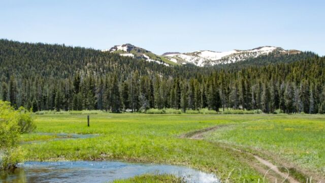 The start of the meadow, with the stream and the pathway. A bit soggy, but not bad Big Meadow