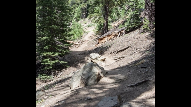 Trail heading down into the lake area Big Meadow trail towards Dardanelles Lake