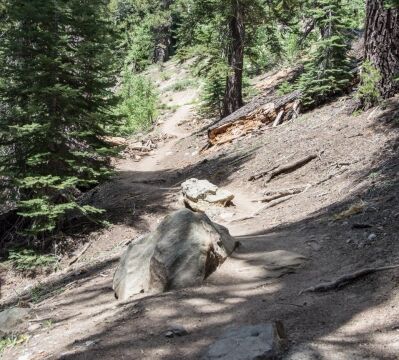 Trail heading down into the lake area Big Meadow trail towards Dardanelles Lake