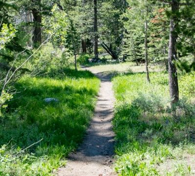 Sometimes the trail is easy, in the lake area Big Meadow trail towards Dardanelles Lake
