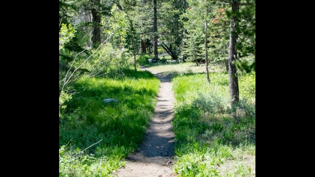 Sometimes the trail is easy, in the lake area Big Meadow trail towards Dardanelles Lake