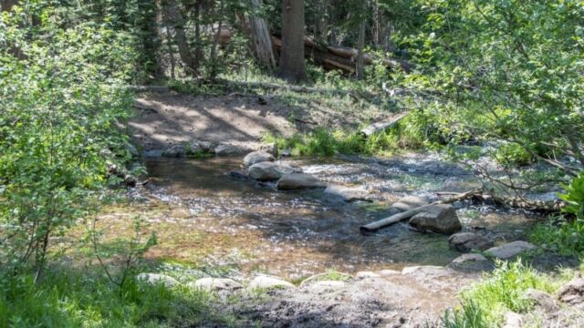 Stream crossings weren't a big challenge Big Meadow trail towards Dardanelles Lake